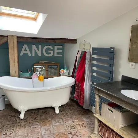 Maison Typique Bordeaux Avec Piscine Bègles