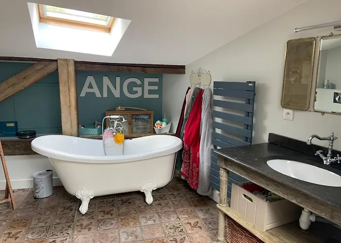 Maison Typique Bordeaux Avec Piscine Bègles