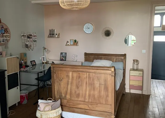 Maison Typique Bordeaux Avec Piscine Hébergement de vacances Bègles